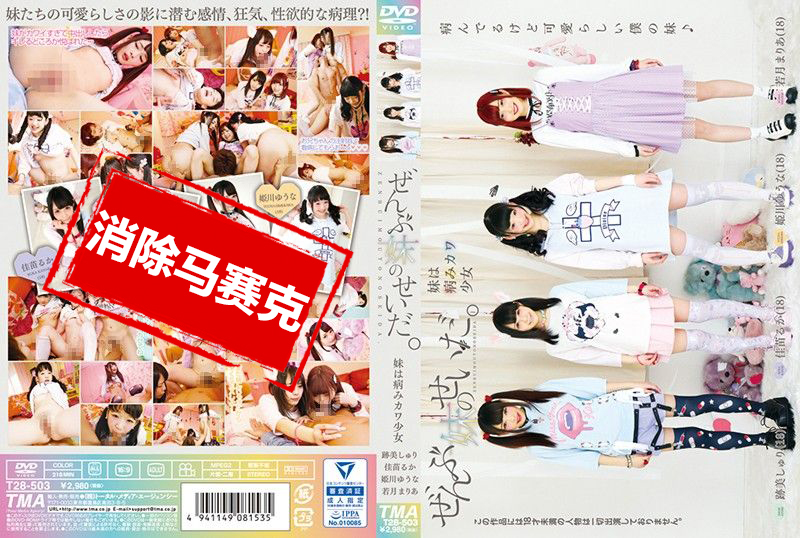 T28-503 全都是妹妹错让我来教训你吧 佳苗瑠花,姬川优奈,若月玛丽亚,迹美朱里